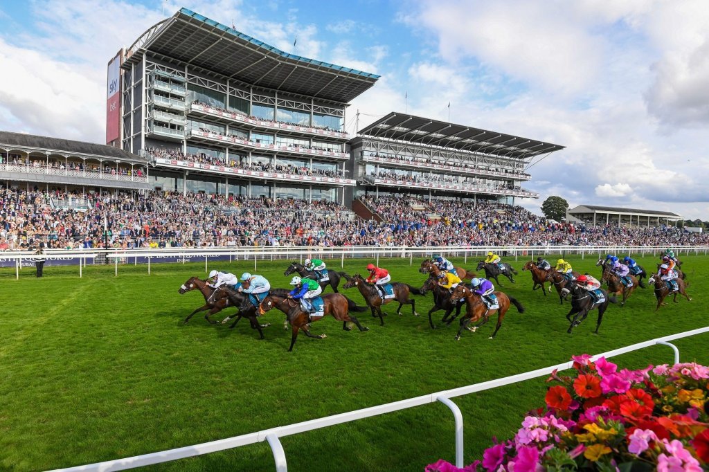 Horses cross the finish line.